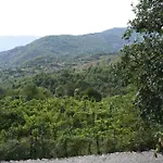 Chata Disha Tirana