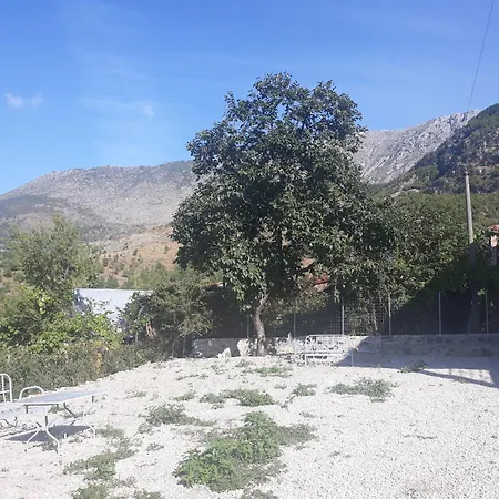 Disha Lodge *