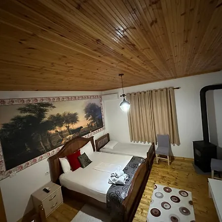 Disha Tirana