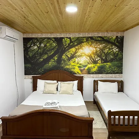 Disha Lodge Tirana