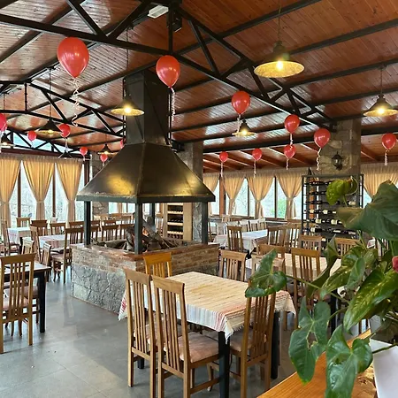 Disha Tirana