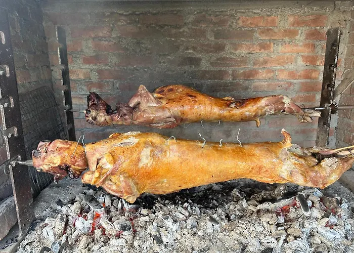 Disha 山林小屋 *