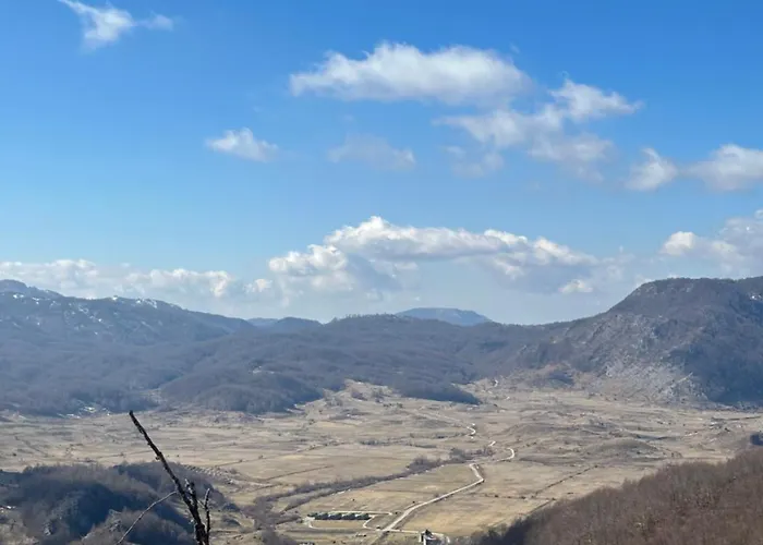 Disha 山林小屋 地拉那