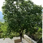 Disha Lodge