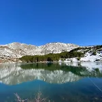 Disha * Tirana