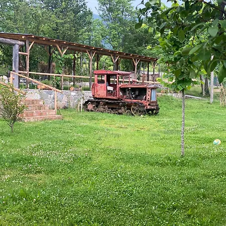 Alojamento de Turismo Selvagem Disha Tirana