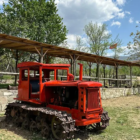 Disha Lodge