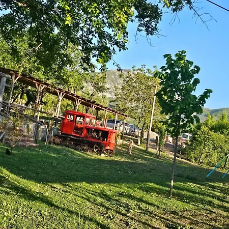 Lodge Disha