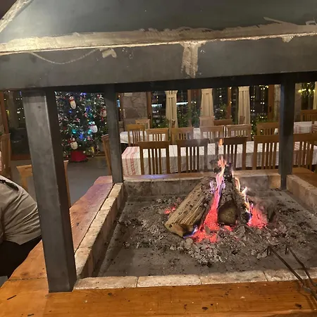 Disha * טיראנה