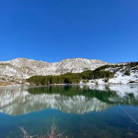 Disha * טיראנה