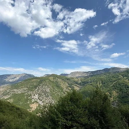 Orman Evi Disha
